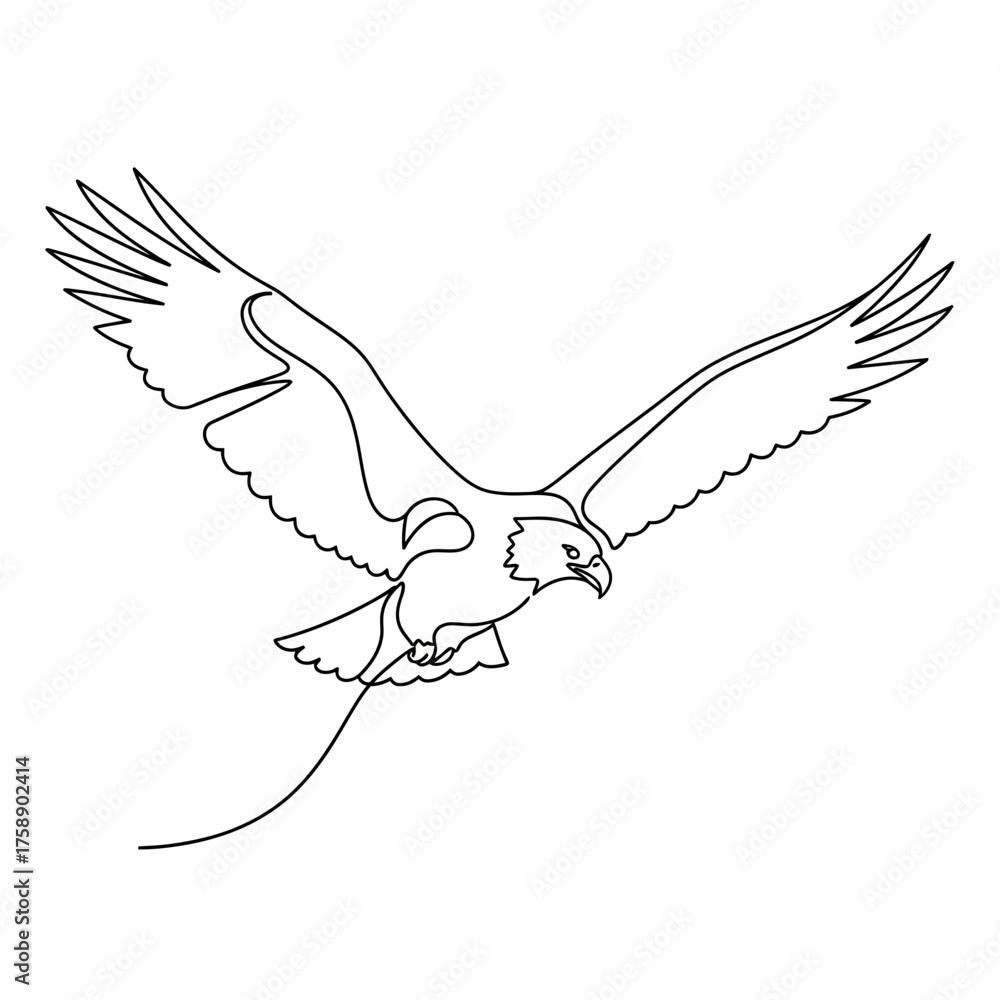 Fototapeta premium flying eagle vector illustration