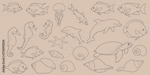 A collection of outlined sea creatures including fish seahorses and shells on a neutral background silhouette