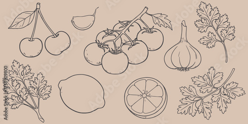 A sketch of assorted fruits vegetables and herbs including cherries tomatoes garlic and cilantro silhouette