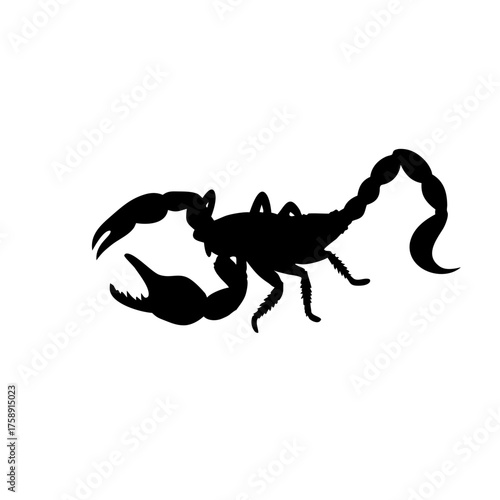scorpion silhouette