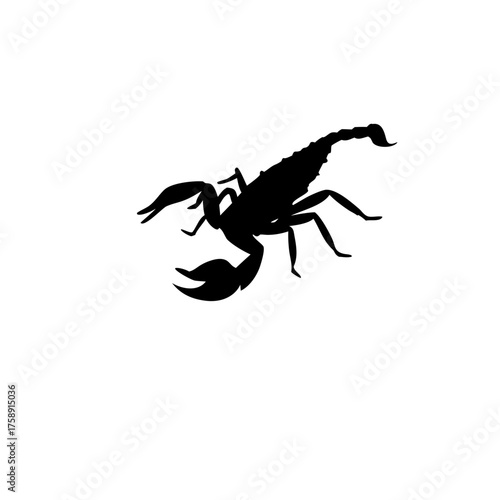 scorpion silhouette