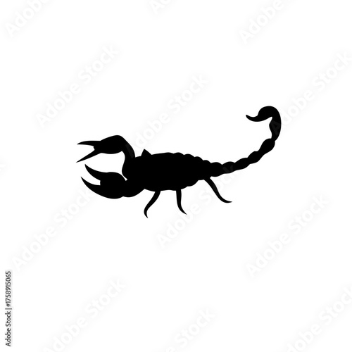 scorpion silhouette