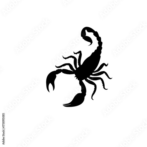 scorpion silhouette