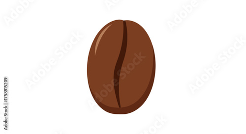 Single Roasted Coffee Bean with Central Crease.