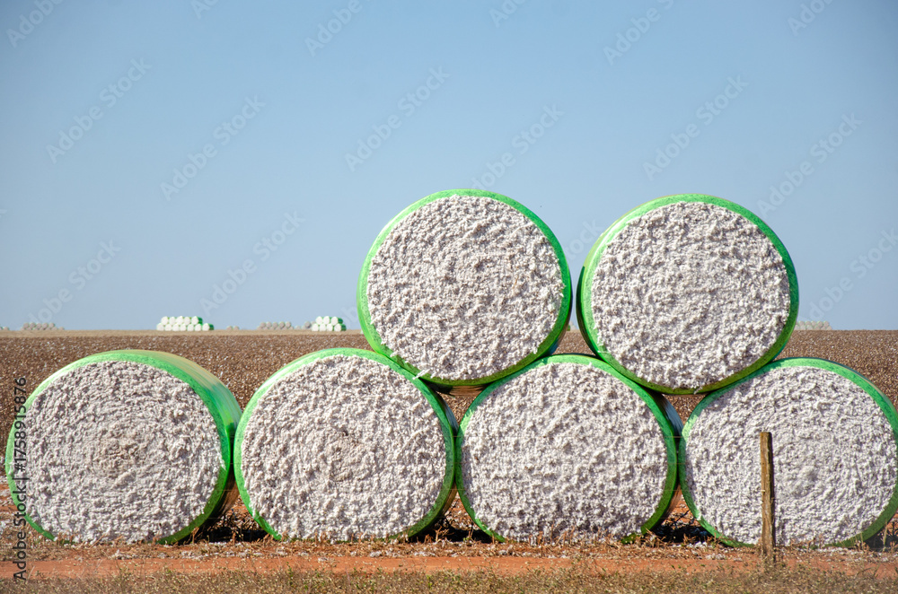 Φωτογραφία Bales of cotton awaiting transport on a farm in Campo Novo do Parecis, Mato Grosso, Brazil