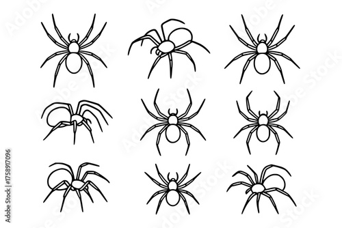 A grid of nine black and white vector outlines showing spiders in various poses, drawn with a simple, illustrative style suitable for a tattoo or logo.