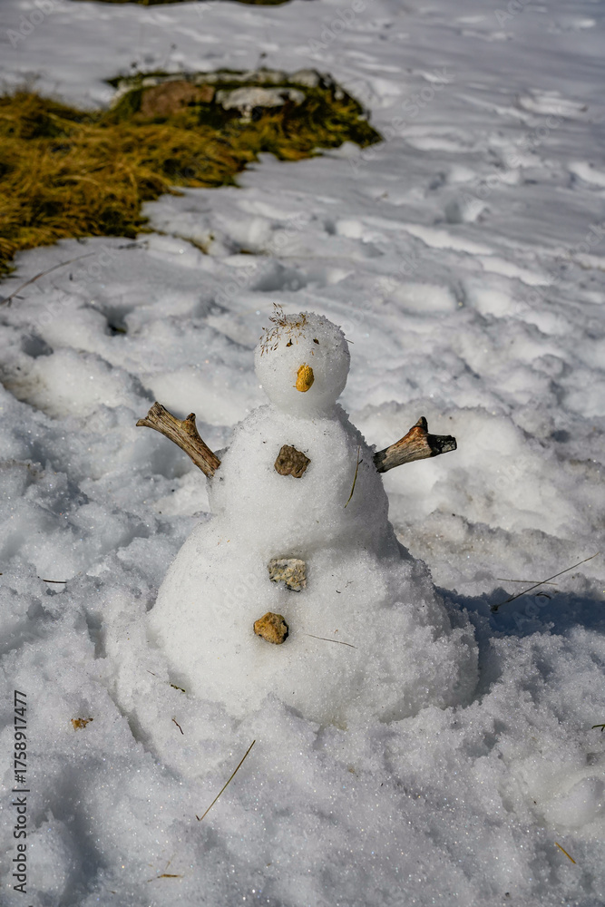 Obraz premium Vertical view of snowman standing on fresh snow