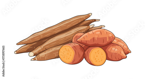 Fresh Cassava and Sweet Potatoes Root Vegetables Illustration.