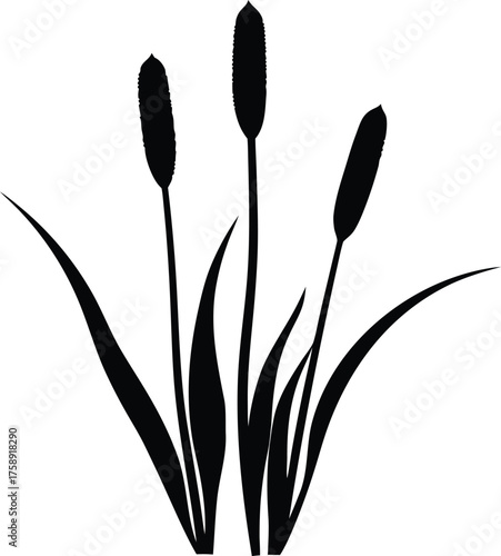 Marsh or swamp plant cattail silhouette