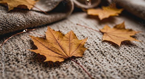Wallpaper Mural Close-up of fallen amber maple leaves scattered on a textured, beige knit blanket with delicate string lights. Torontodigital.ca