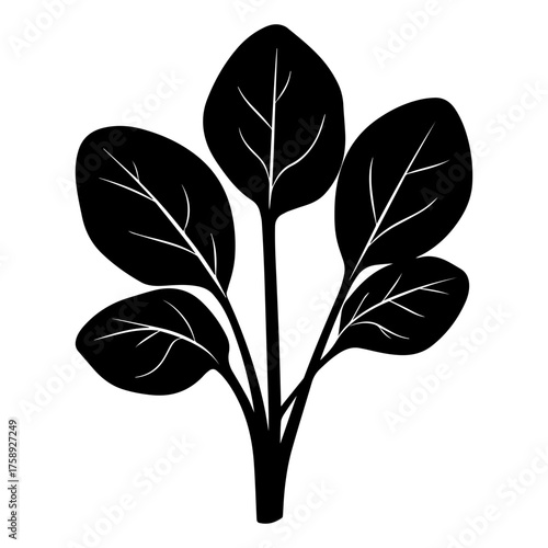 Baby spinach icon, baby spinach silhouette vector illustration-simple silhouette illustration of baby spinach