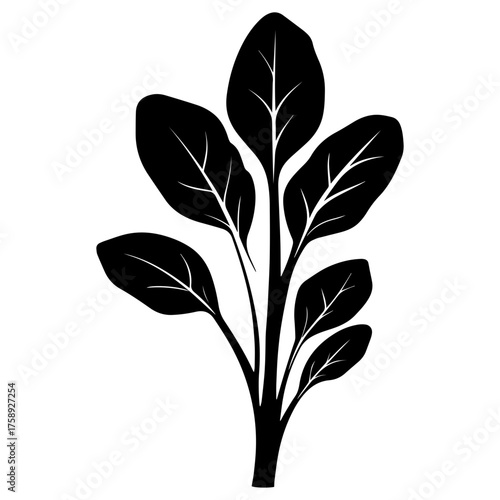 Baby spinach icon, baby spinach silhouette vector illustration-simple silhouette illustration of baby spinach