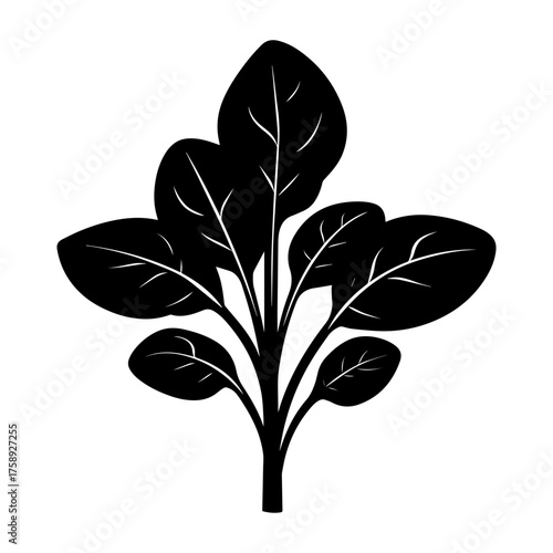 Baby spinach icon, baby spinach silhouette vector illustration-simple silhouette illustration of baby spinach
