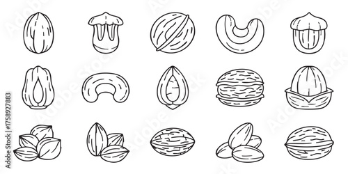 Set of nuts and seeds outline icons vector
