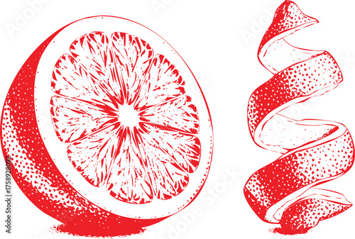 Red Stylized Slice of Grapefruit and Spiral Peel on White Background Keywords: grapefruit, citrus, fruit, food, red, slice, peel