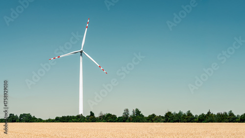 Single wind turbine rising over golden wheat field and tree line under clear blue sky, clean renewable energy and sustainable rural landscape with copy space
