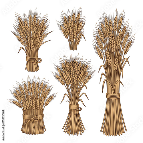 Bundles of wheat stalks tied with twine for harvest season.