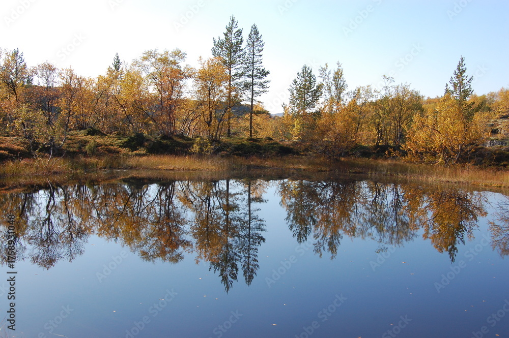 Obraz premium A picturesque lake in the Finnish tundra, Sami territory, amazing nature, Karelia, fantastic landscapes, fishing, tourism.
