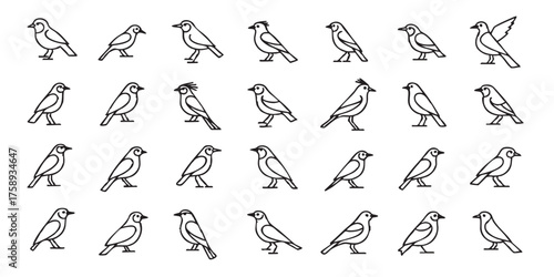 Set of bird outline icons vector
