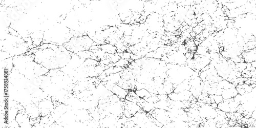 An old, rough gray grunge wall texture with distressed white paint and a vintage concrete surface provides a dirty, textured backdrop for design