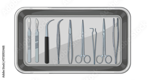 Surgical Instruments in a Metal Tray.