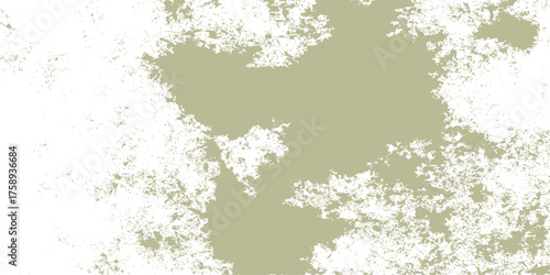 A grunge black paper texture with a green floral vintage nature frame decoration