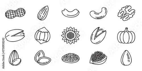 Set of nuts and seeds outline icons vector
