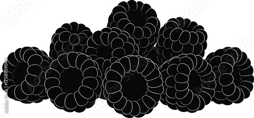 Luscious Blackberries Vector Illustration A Detailed Design Featuring Juicy Berries, Ideal for Culinary-Themed Projects, Fresh Fruit Graphics, and Elegant Food Presentation Vector Art