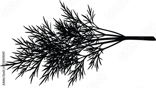 Fragrant Herb Vector Illustration A Detailed Black Silhouette of Fresh Dill Fronds, Ideal for Culinary Designs and Organic Food Graphics, Capturing the Essence of Aromatic Cooking