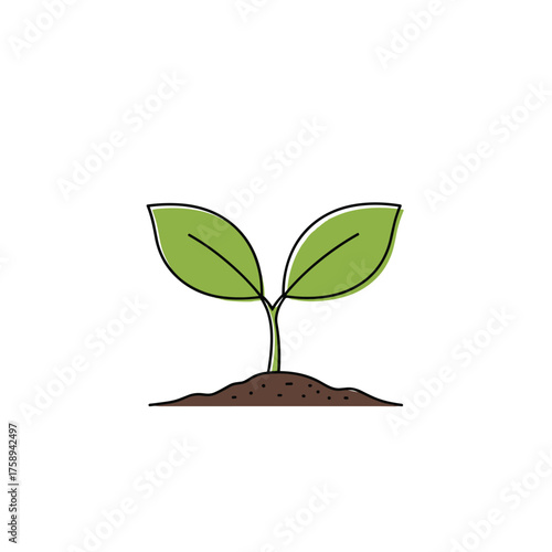 A young plant with two bright green leaves emerging from brown soil represents new growth and the beginning of life. 