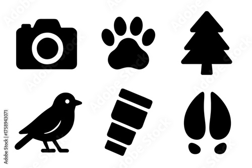 Set of nature and outdoor icons: camera, paw, tree, bird, cup, hoof print silhouettes