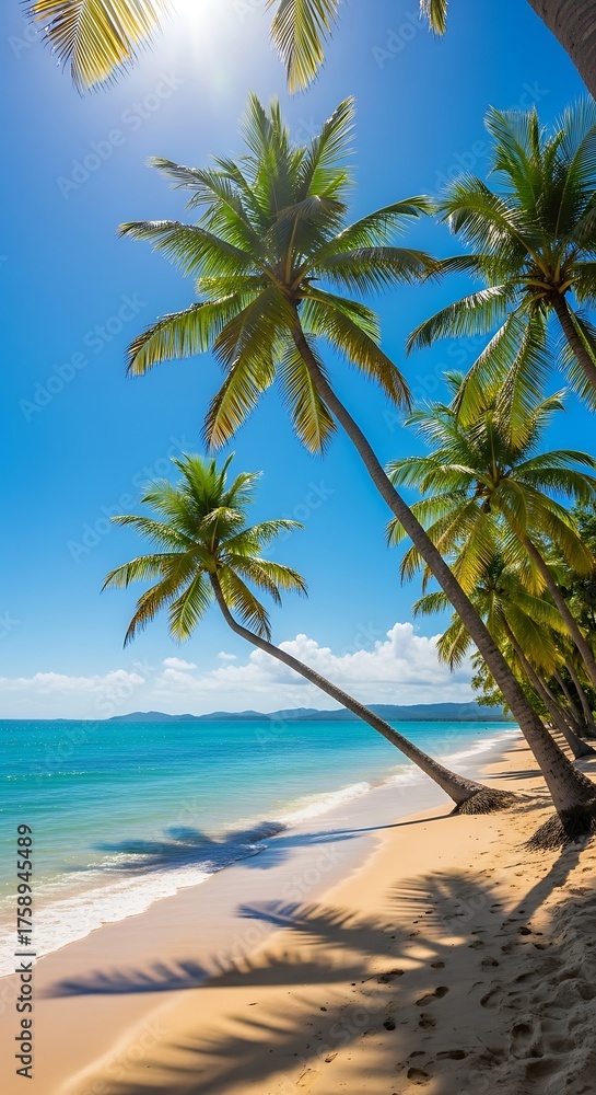 Fototapeta premium Lush tropical palm trees cast long shadows on a pristine sandy beach, bathed in bright sunlight against a vibrant blue sky.