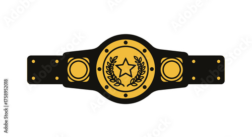Championship Boxing Belt with Gold Star Emblem.