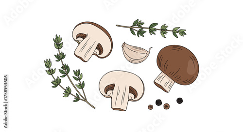 Fresh mushroom and herb ingredients for cooking savory dishes.