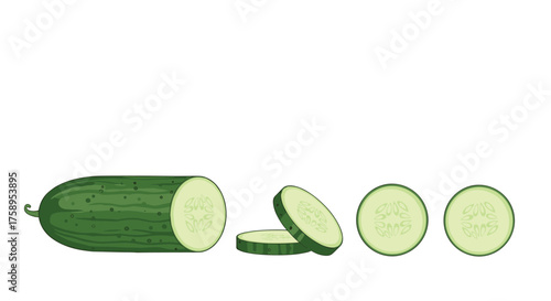 Freshly sliced cucumber reveals its crisp texture and refreshing coolness for healthy eating.