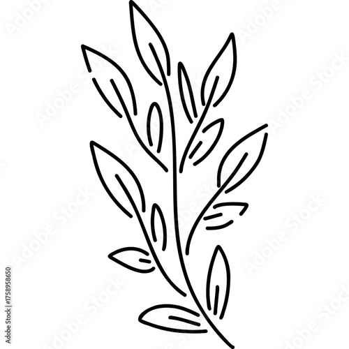 Elegant botanical line art ...