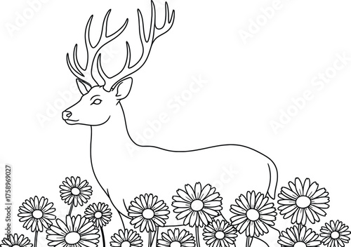 Wild & Domestic Animals Line Art & Outline Vector kids & adults Coloring Pages