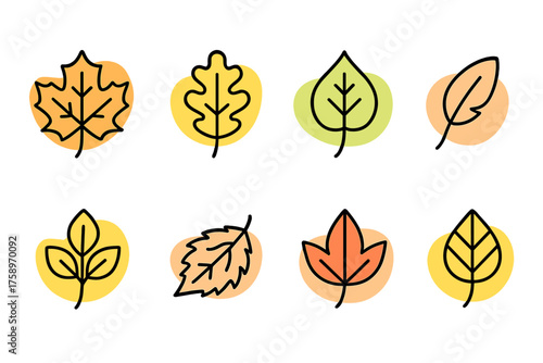 Autumn leaves linear icon set. featuring maple, oak, elm, birch, chestnut, and ginkgo symbols
