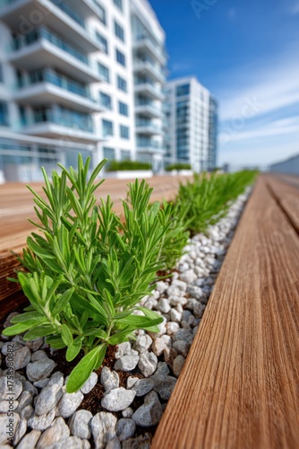 Green plants thrive along a wooden walkway next to modern buildings under a clear blue sky