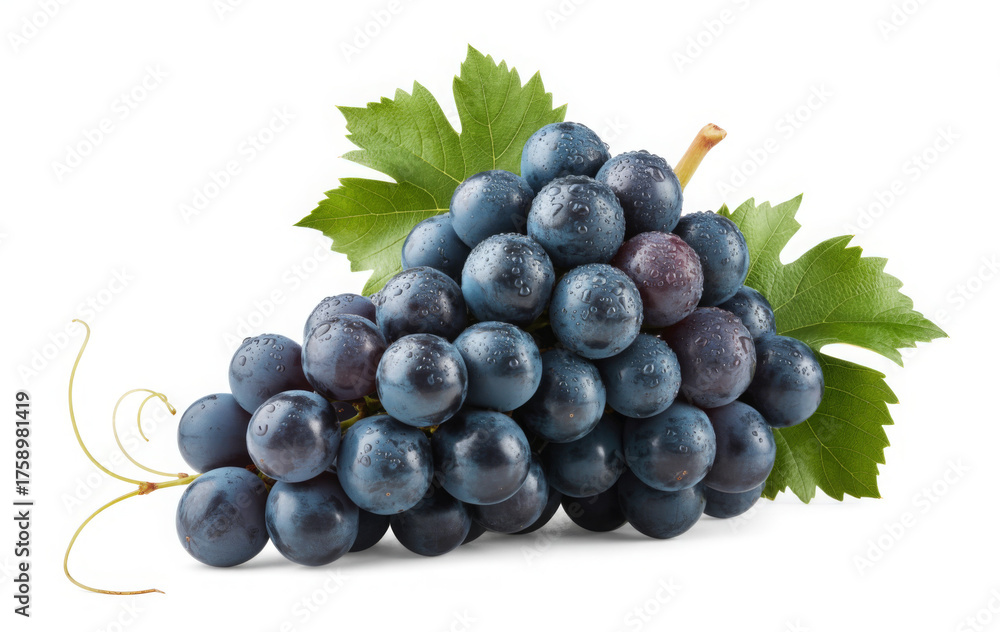 Fototapeta premium Fresh bunch of dark blue grapes with green leaves isolated on white background perfect for healthy eating and agriculture concepts