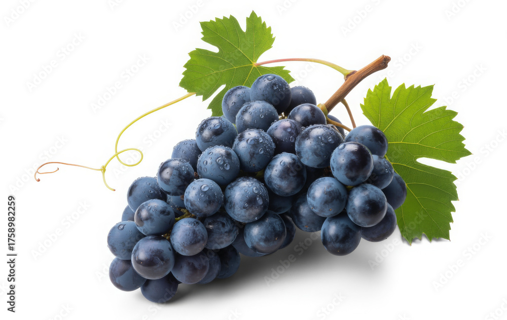 Fototapeta premium Fresh bunch of dark blue grapes with leaves isolated on white background perfect for healthy eating and fruit-related designs