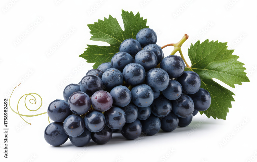 Fototapeta premium Fresh bunch of dark grapes with green leaves isolated on white background perfect for healthy eating and wine concepts