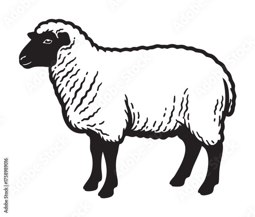 Black outline illustration of a sheep with a black head and white wool, depicted in a simple and minimal style.