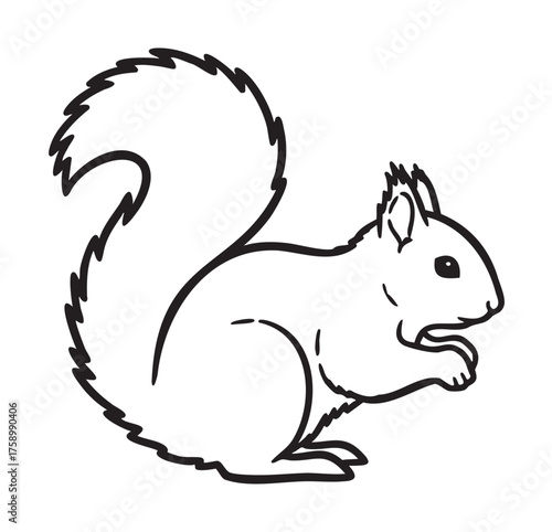 Black outline drawing of a squirrel in a side profile with detailed fur and bushy tail, captured in a playful stance.