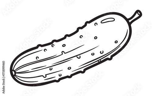 Black outline vector drawing of a single cucumber with detailed bumps and line texture.