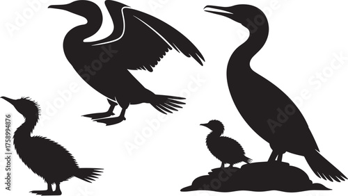Silhouette Cormorant Sea Birds Collection Aquatic Diving Avian Wildlife Vector Pack