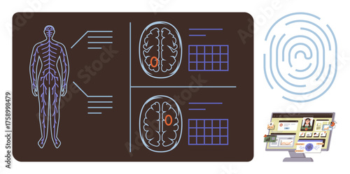 Human body anatomy, detailed brain scans, fingerprint pattern, and tech-based research interface. Ideal for healthcare, neuroscience, biometric analysis, data security, AI research diagnostics