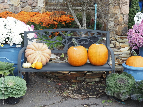 There are many different types of pumpkins for the Halloween season.