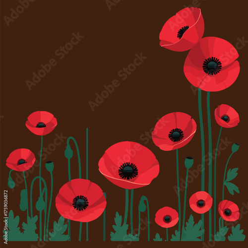 Red Poppy Flowers Blooming on Dark Background – Elegant Floral Vector Illustration