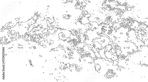 Photos Abstract black outlines on white create a textured surface, filled with organic